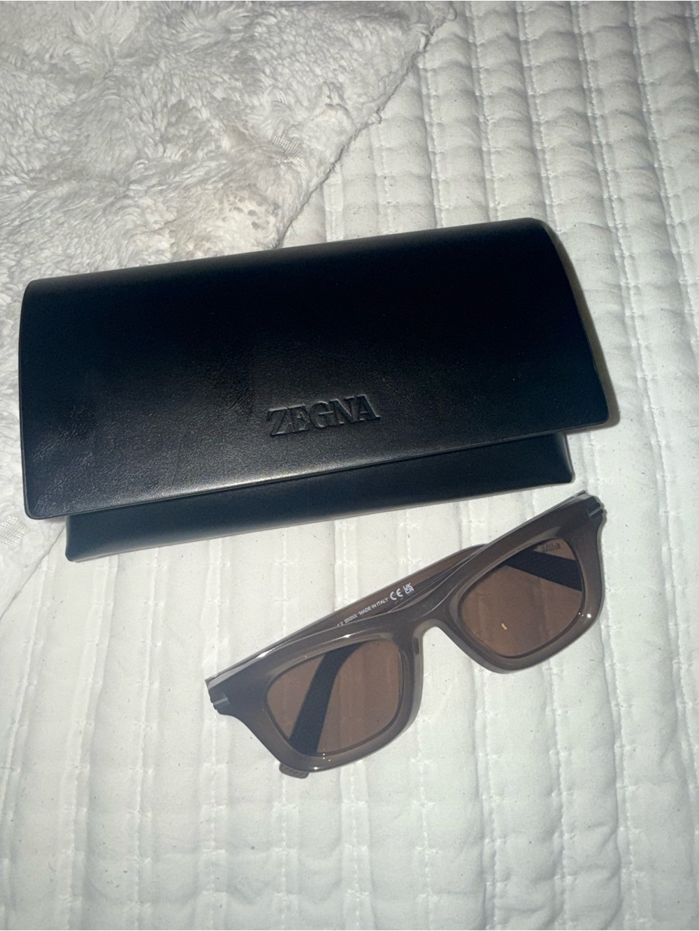 Zegna Men’s Brown Lens Sunglasses with Black Case
